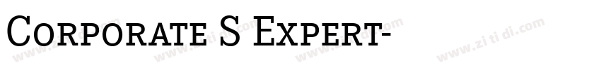 Corporate S Expert字体转换